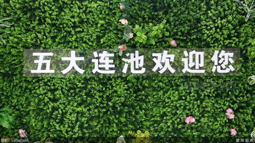 便宜机票双周报 四十块钱买往返