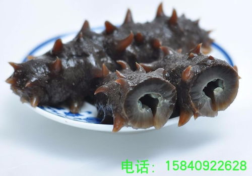 五大连池冷蒸海参设备 冷蒸海参机