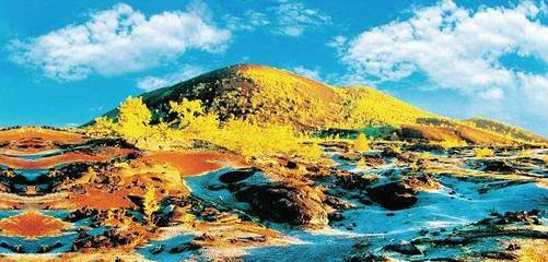 五大连池市 成功破局森林工业资源枯竭之路