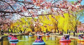 赏花观鸟登山季 北国之春孕生机,五大连池的自然盛宴