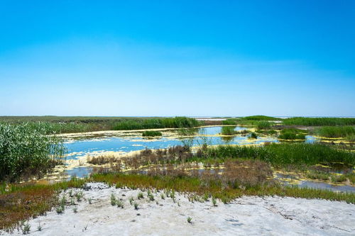 五大连池的五大池介绍