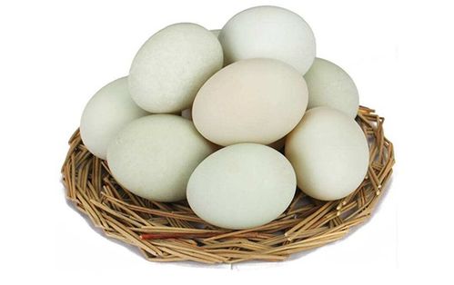 探索塞北奇珍 五大连池鸭蛋——来自火山堰塞湖的自然馈赠